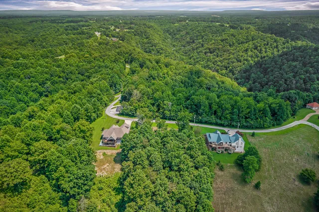 a view of a garden with plants and large trees