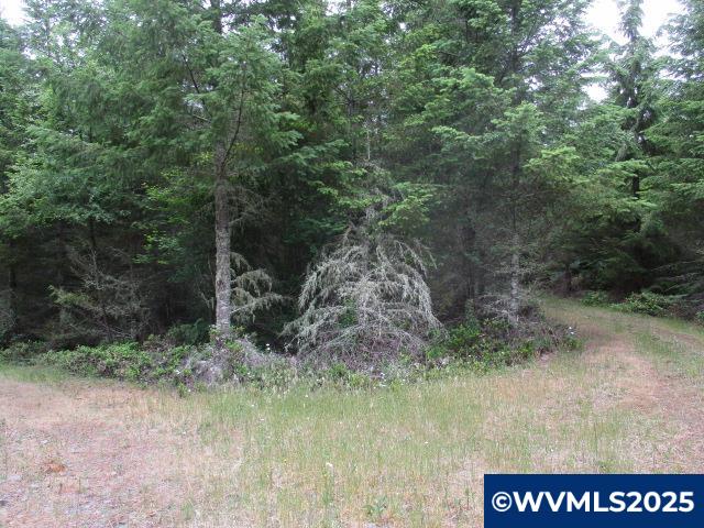 0 Gruber South Road Estacada, OR 97023 - Photo 12 of 30