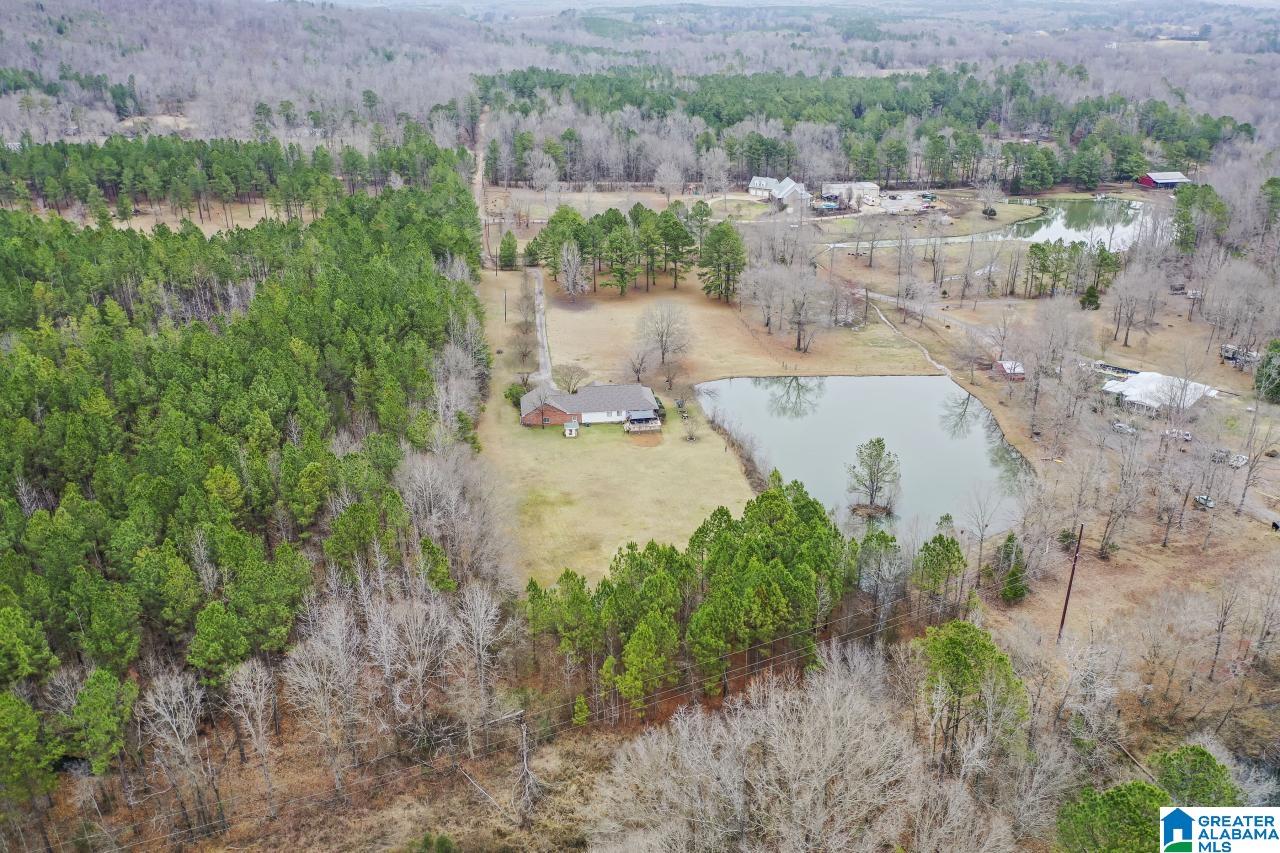 1726 Alston Farm Road Columbiana, AL 35051 - Photo 49 of 61