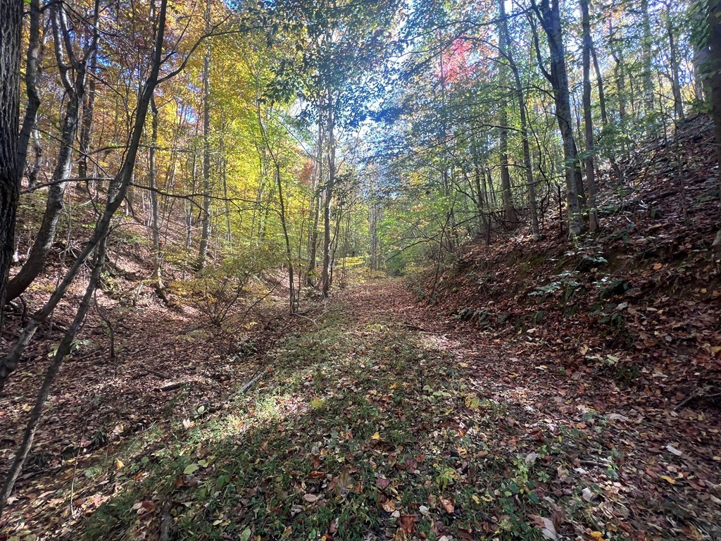 0 Manning Hollow Road Sevierville, TN 37876 - Photo 6 of 14