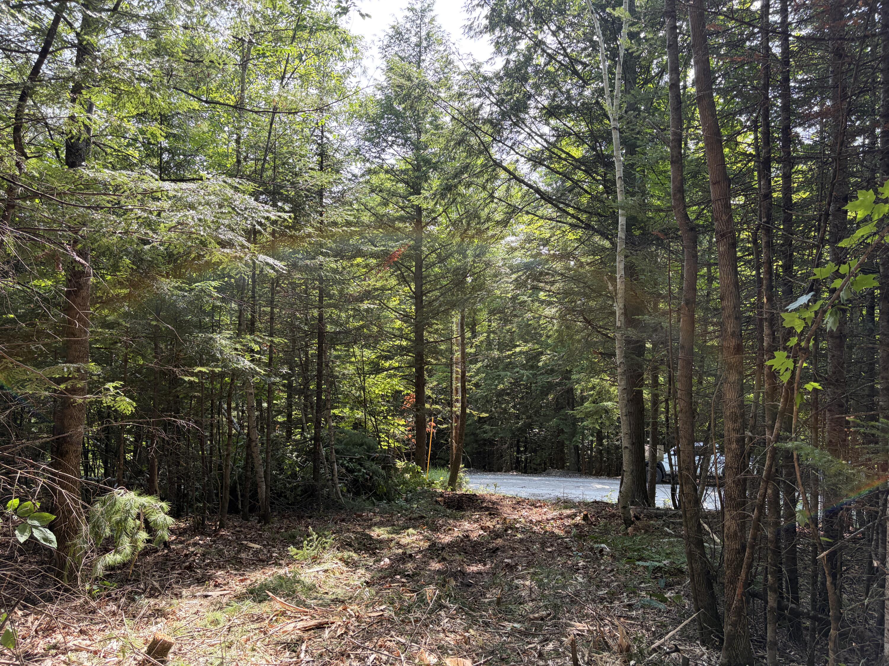 Lot 5 Holley Road Farmington, ME 04938 - Photo 2 of 10 F40698FD-C0C5-413F-8952-EF44783A0076
