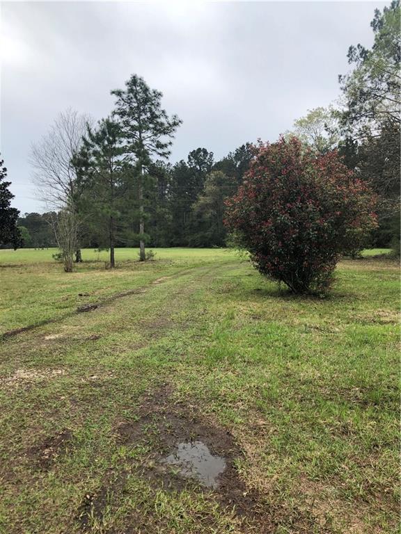 61484 Chappepeela Ridge Road Amite, LA 70422 - Photo 13 of 18 Gallery Image 13
