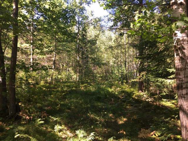 Lot 33 Pine Shadow Lane Rhinelander, WI 54501 - Photo 7 of 13 Gallery Image 7