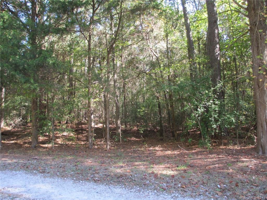 0 Murdock Road Richburg, SC 29729 - Photo 1 of 8 Gallery Image 1