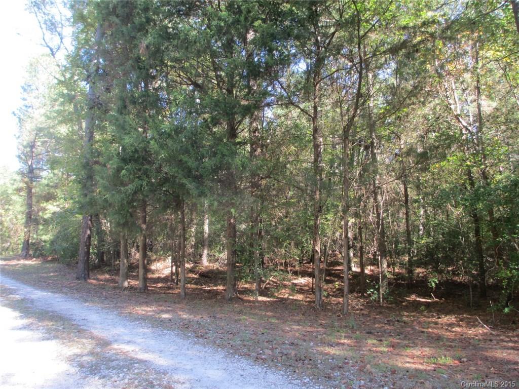 0 Murdock Road Richburg, SC 29729 - Photo 2 of 8 Gallery Image 2