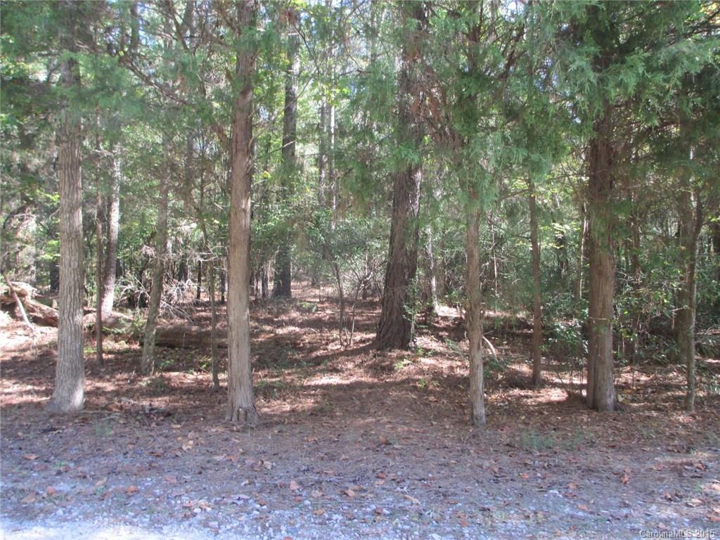 0 Murdock Road Richburg, SC 29729 - Photo 3 of 8 Gallery Image 3