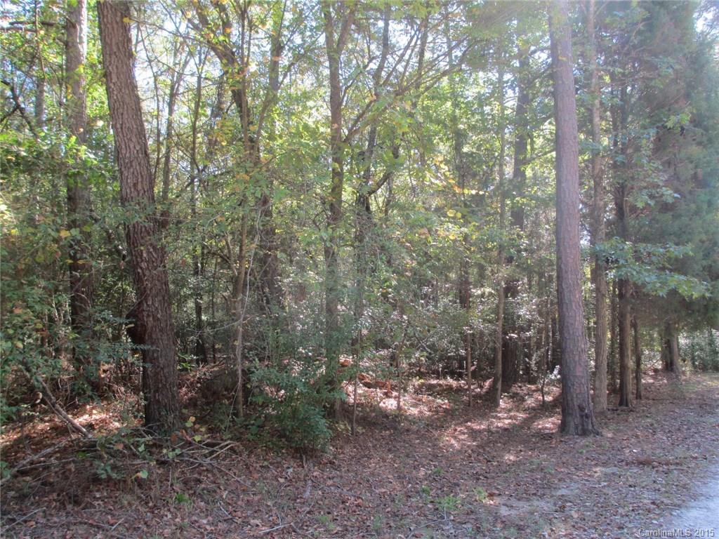 0 Murdock Road Richburg, SC 29729 - Photo 4 of 8 Gallery Image 4