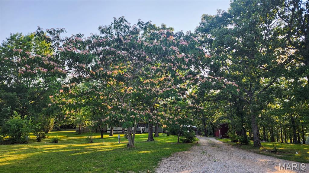 2066 State Rd Jj Stoutland, MO 65567 - Photo 7 of 41 Gallery Image 7