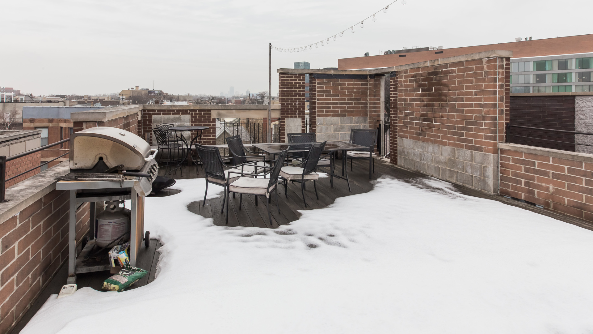 1133 West Addison Street Chicago, IL 60613 - Photo 25 of 42