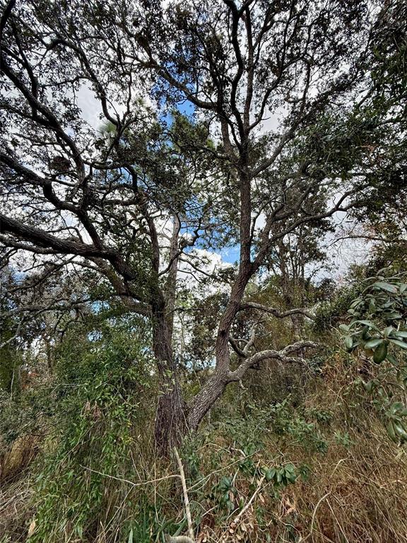0 Centralia Road Weeki Wachee, FL 34614 - Photo 2 of 8 Gallery Image 2