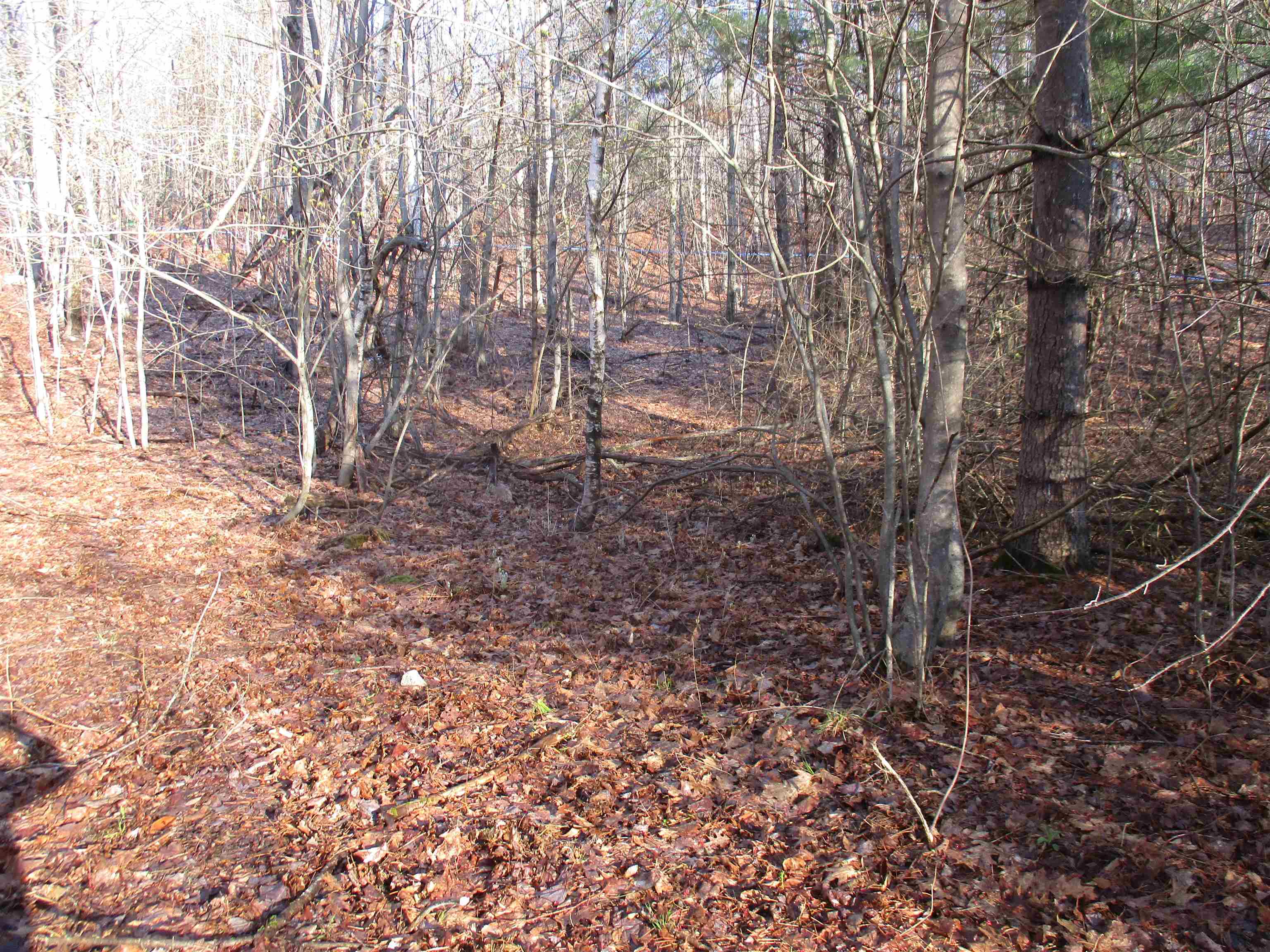 5-a-10-5 Farley Ball Road Temple, NH 03084 - Photo 6 of 9 Gallery Image 6