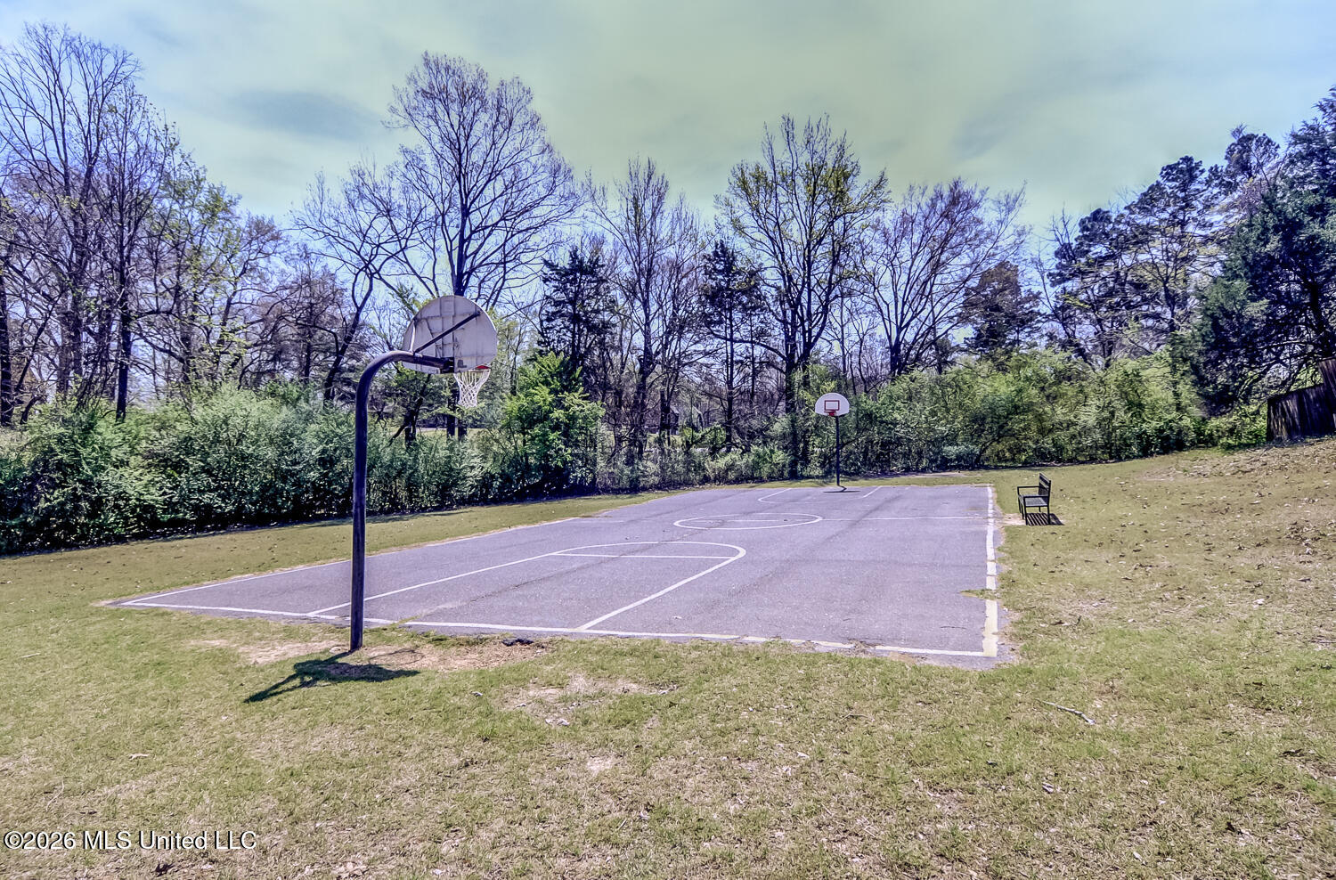 2160 Taryn Lane Nesbit, MS 38651 - Photo 45 of 52 DSC_0880_1_2_3_4