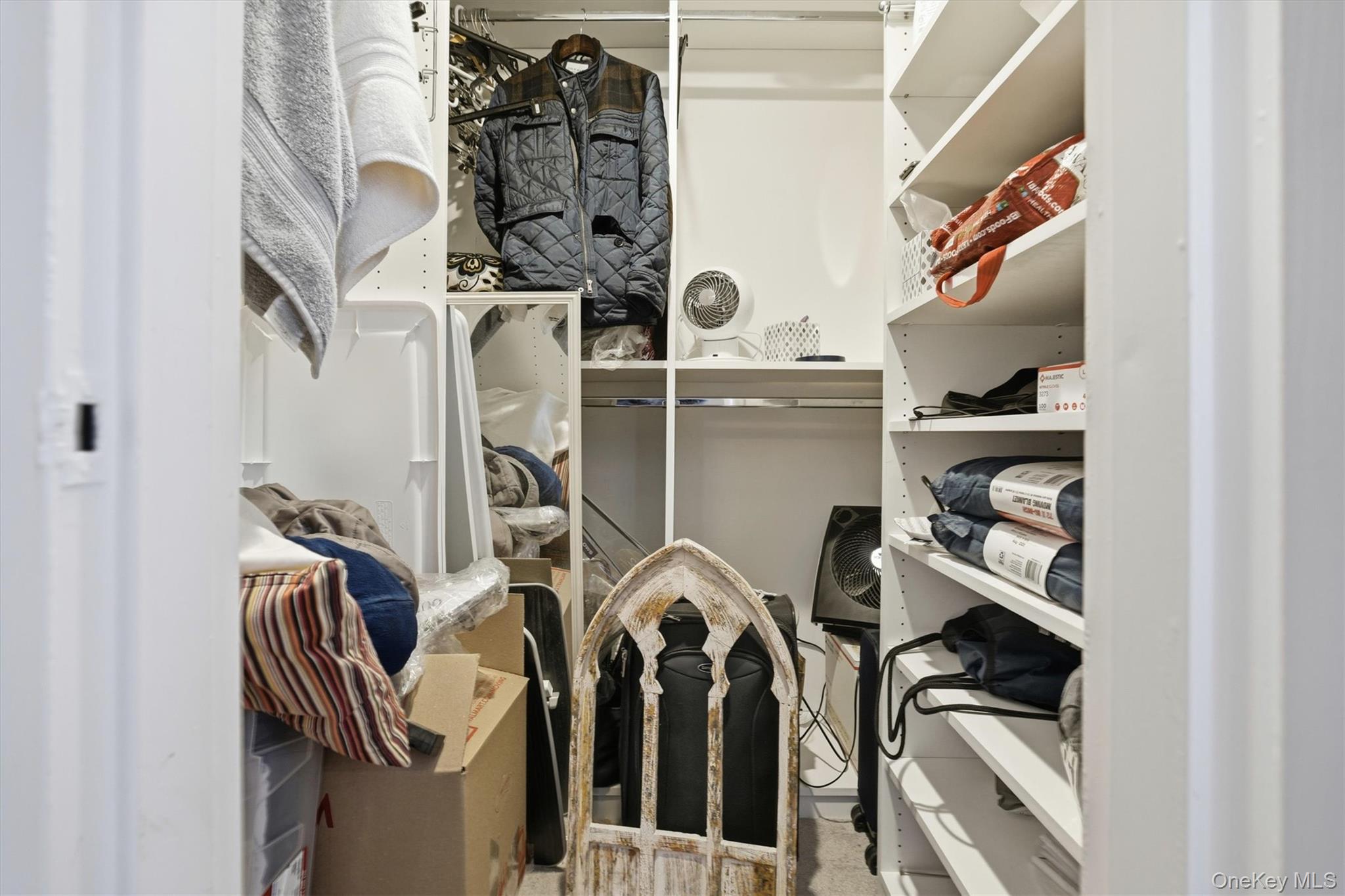 25 Chapel Place, Unit 1B Great Neck, NY 11021 - Photo 16 of 33 a view of walk in closet with clothes and shoes