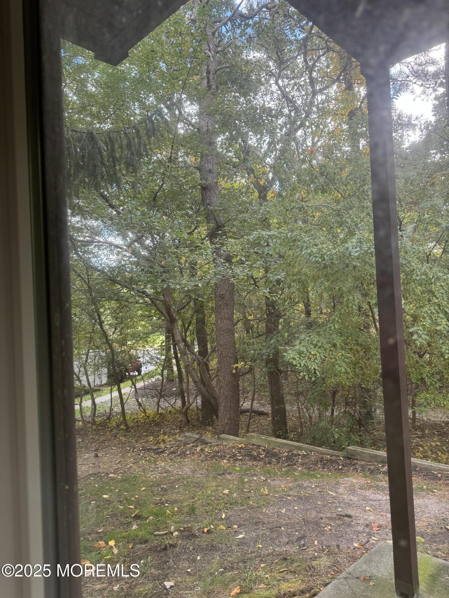 1208 Alpine Trail Neptune Township, NJ 07753 - Photo 25 of 29 a view of a yard with trees in the background