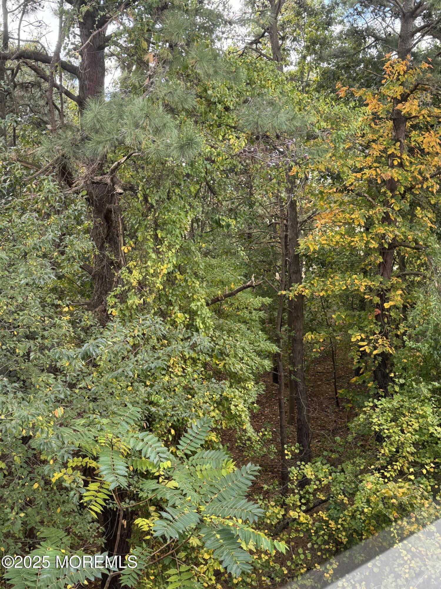 1208 Alpine Trail Neptune Township, NJ 07753 - Photo 29 of 29 a view of a house with a street
