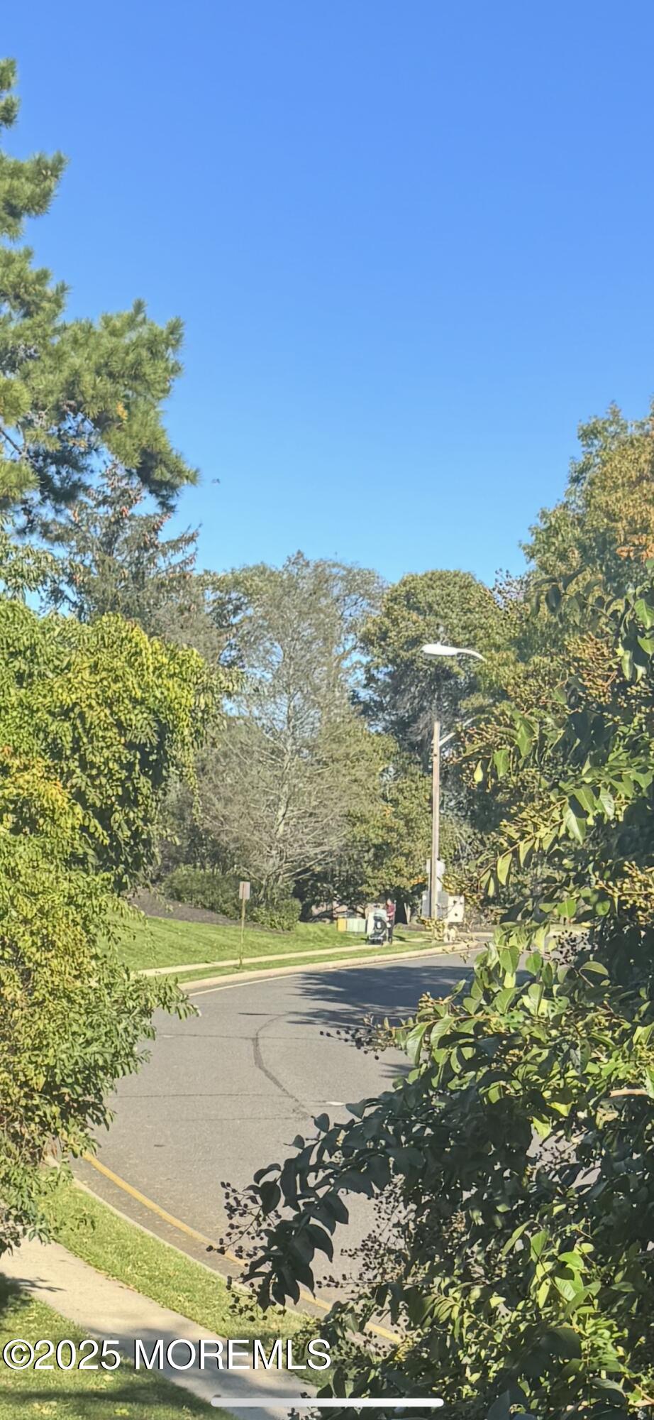 1208 Alpine Trail Neptune Township, NJ 07753 - Photo 6 of 29 a view of a lake with a mountain