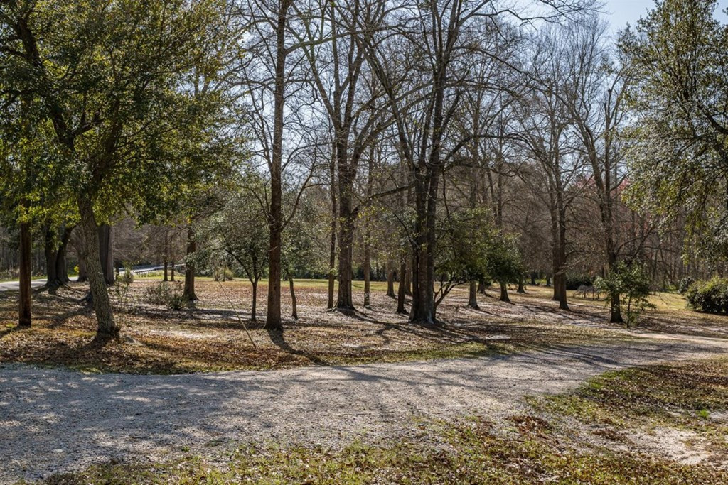 263 Greenville Road Warrenville, SC 29851 - Photo 24 of 42