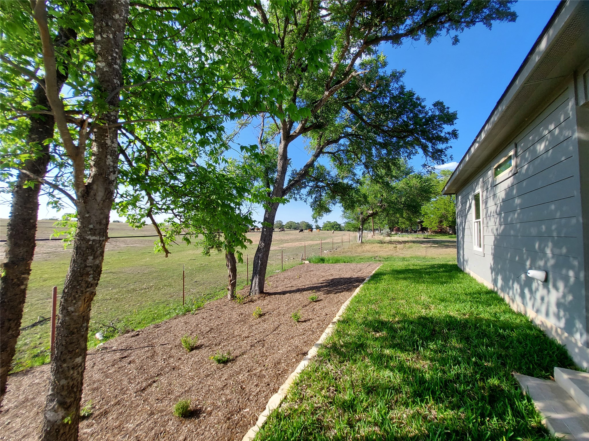 121 Spanish Oak Trail Cameron, TX 76520 - Photo 34 of 36 a view of backyard with tree