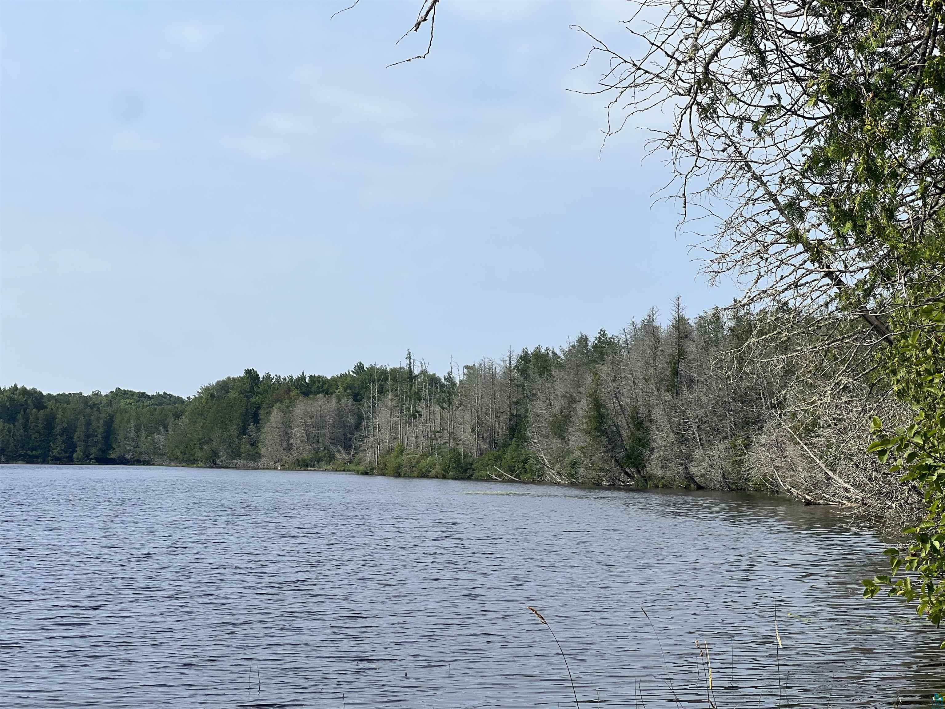 26336 Forest Road 181 Glidden, WI 54527 - Photo 6 of 18 View of water feature