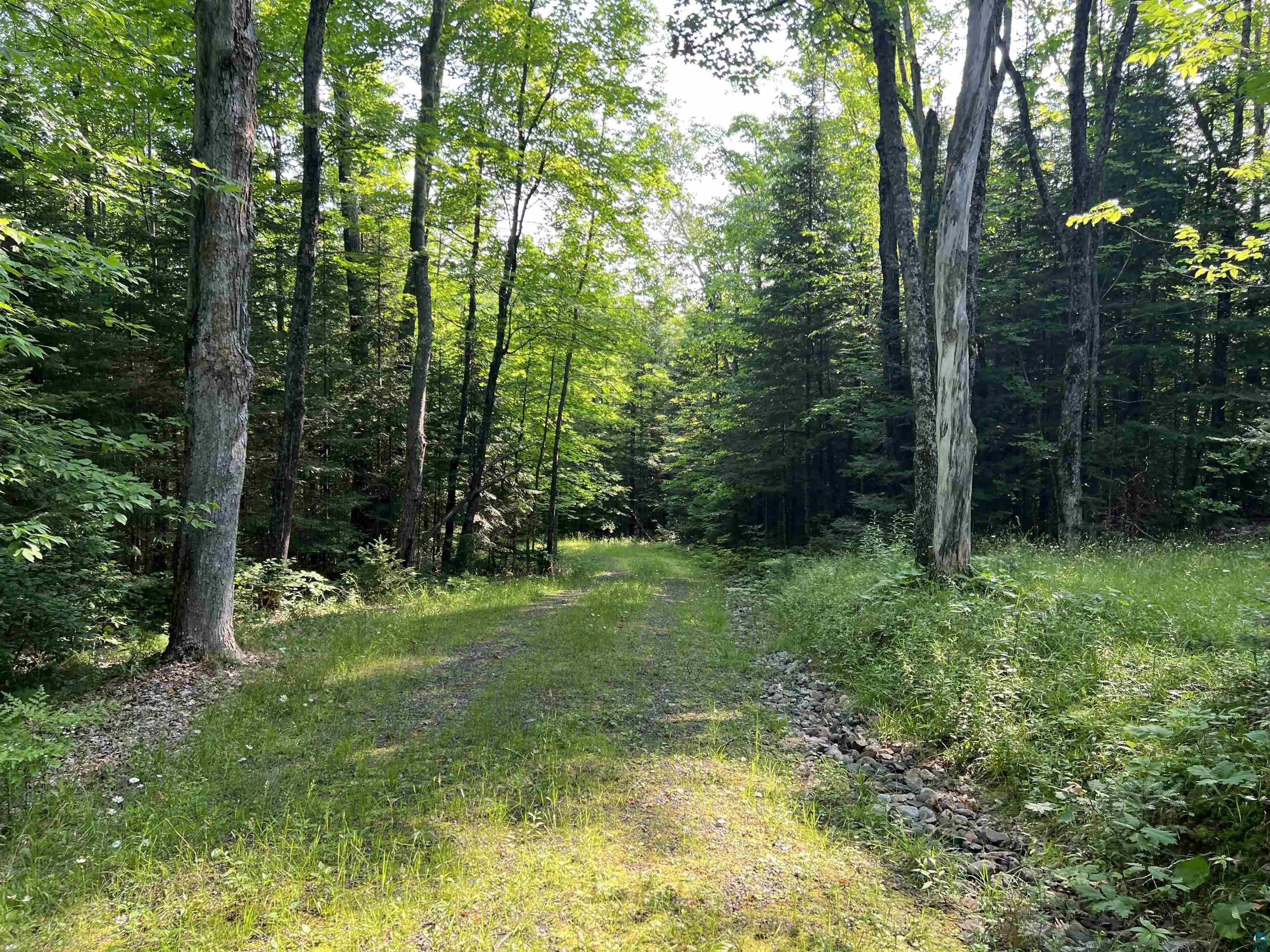 26336 Forest Road 181 Glidden, WI 54527 - Photo 7 of 18 View of landscape