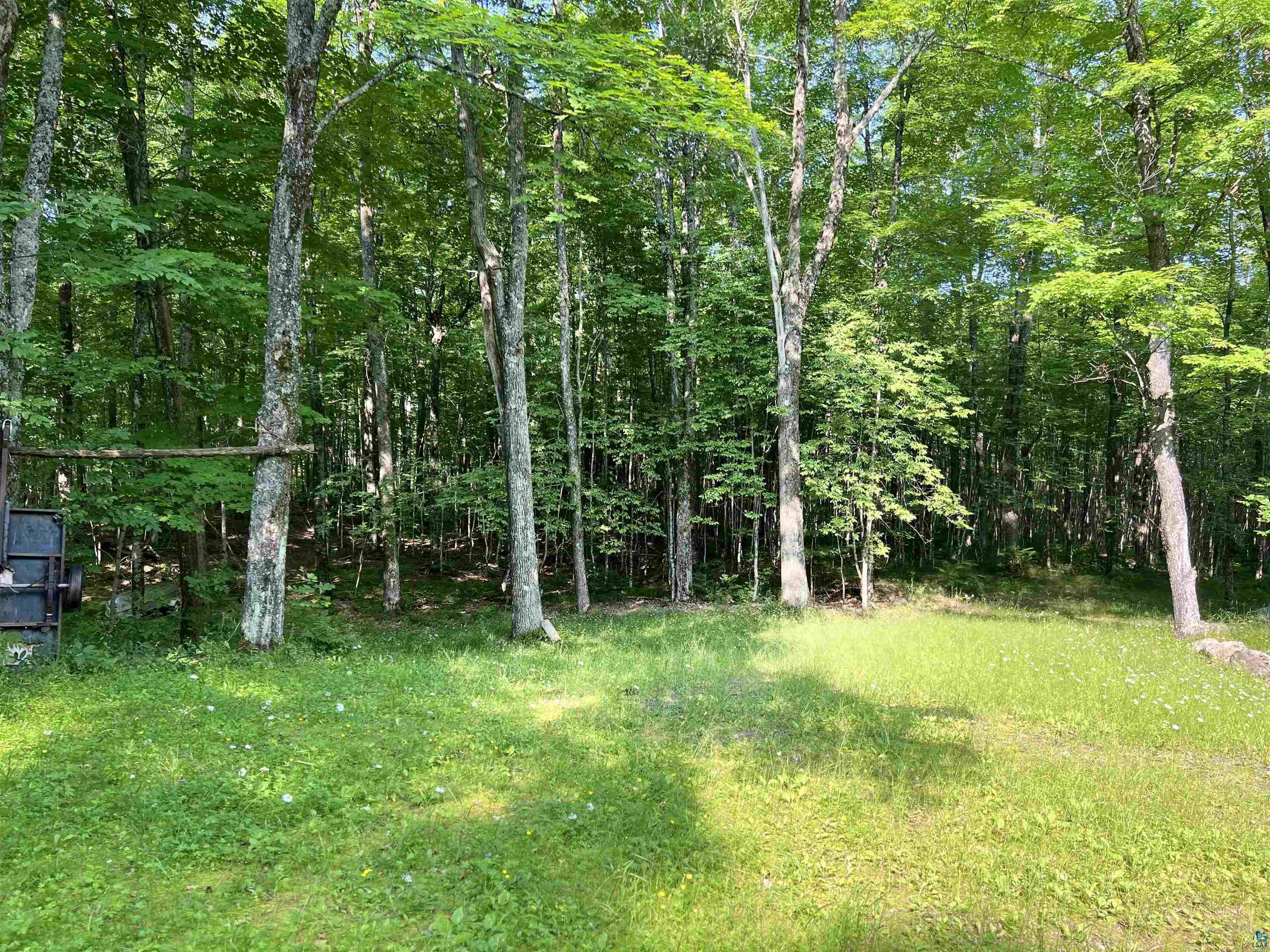 26336 Forest Road 181 Glidden, WI 54527 - Photo 9 of 18 View of yard