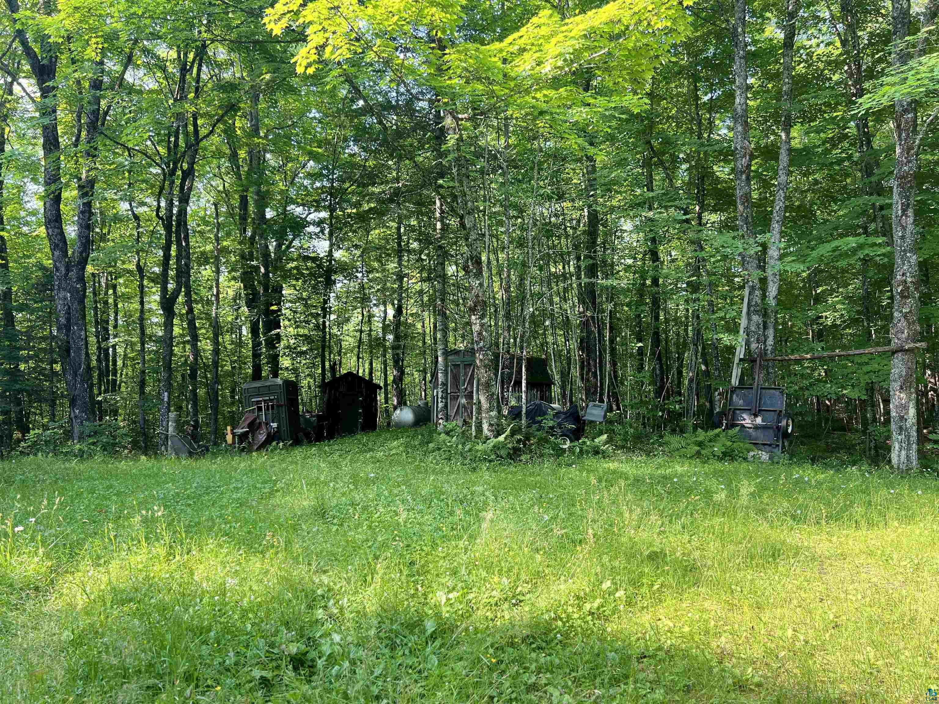 26336 Forest Road 181 Glidden, WI 54527 - Photo 10 of 18 View of local wilderness