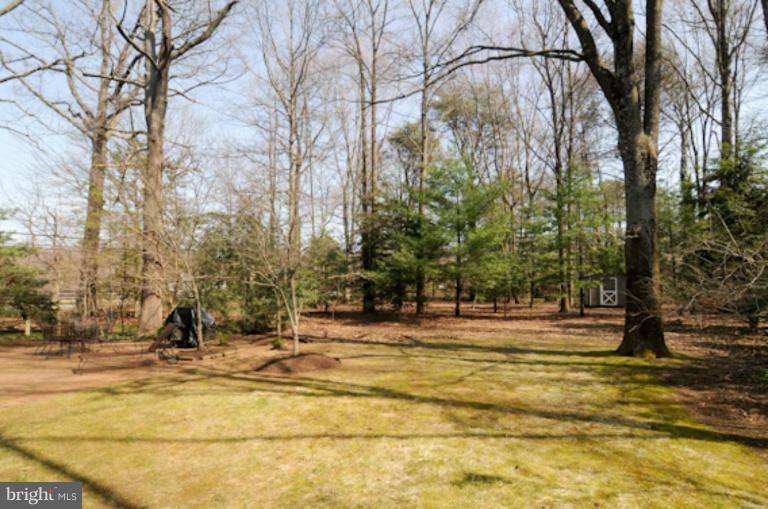 3019 Aberdeen Road Annapolis, MD 21403 - Photo 24 of 30 Back yard