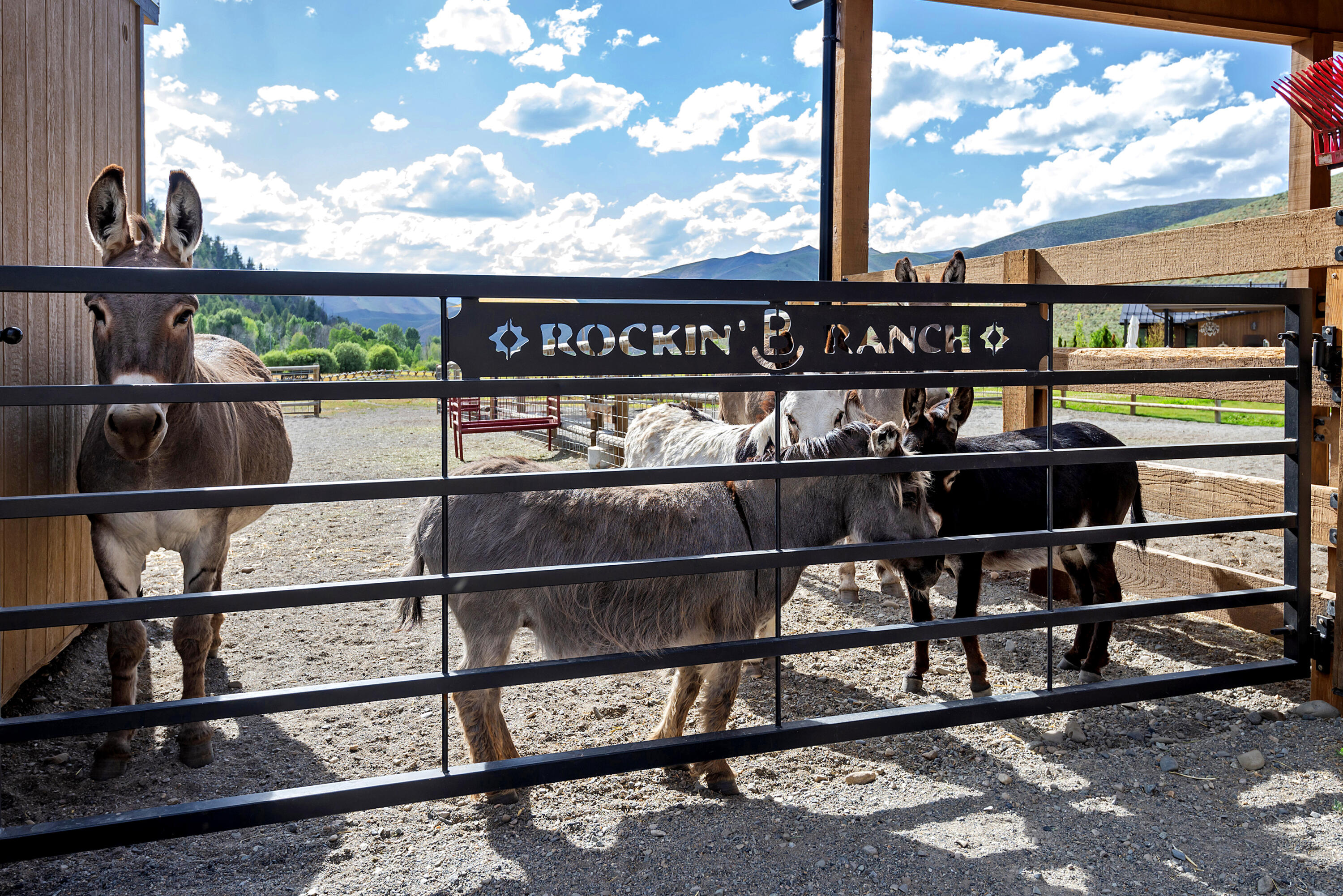 708 East Fork Road Hailey, ID 83333 - Photo 120 of 127 Rockin' B Ranch