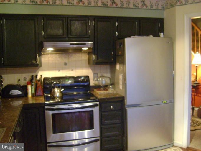 46943 Rabbitrun Terrace Sterling, VA 20164 - Photo 7 of 10 Kitchen #2
