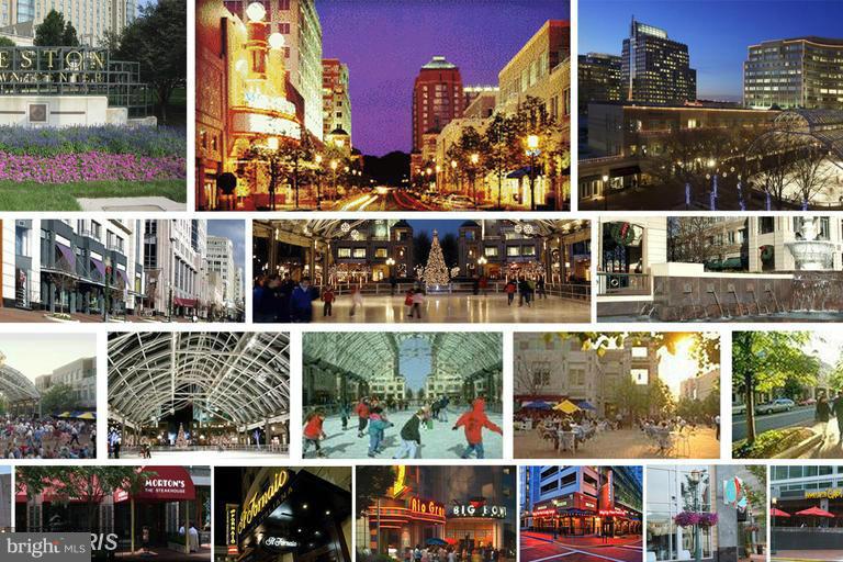 1785 Jonathan Way, Unit B Reston, VA 20190 - Photo 28 of 35