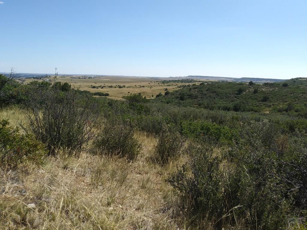 Lot 641 Fort Scott Avenue Rye, CO 81069 - Photo 2 of 6