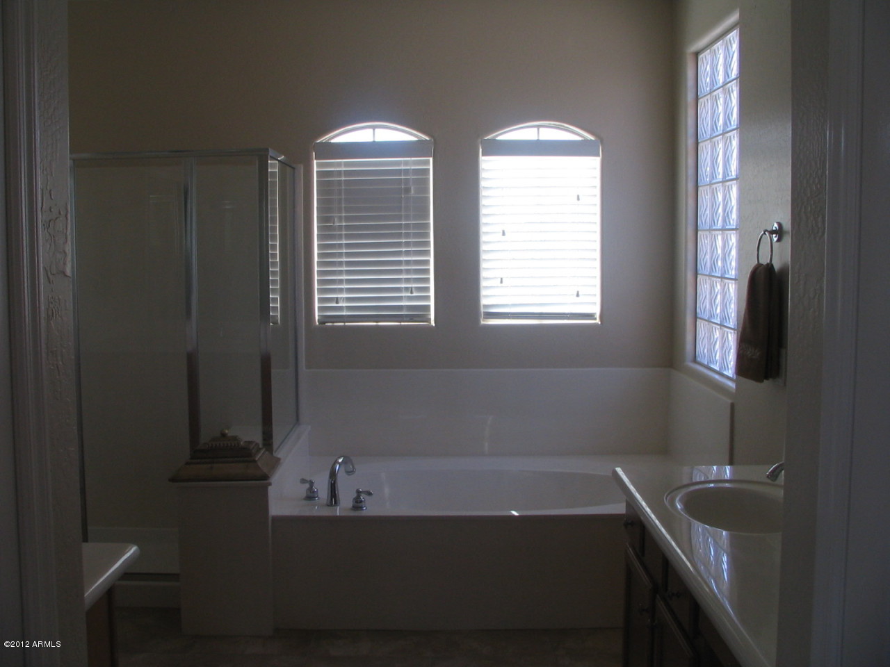 4514 West Ravina Lane Anthem, AZ 85086 - Photo 9 of 13 Master Bath