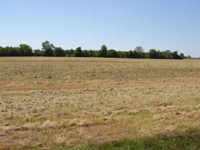 0 Marsh Road, Unit 9 Richwood, OH 43344 - Photo 1 of 2