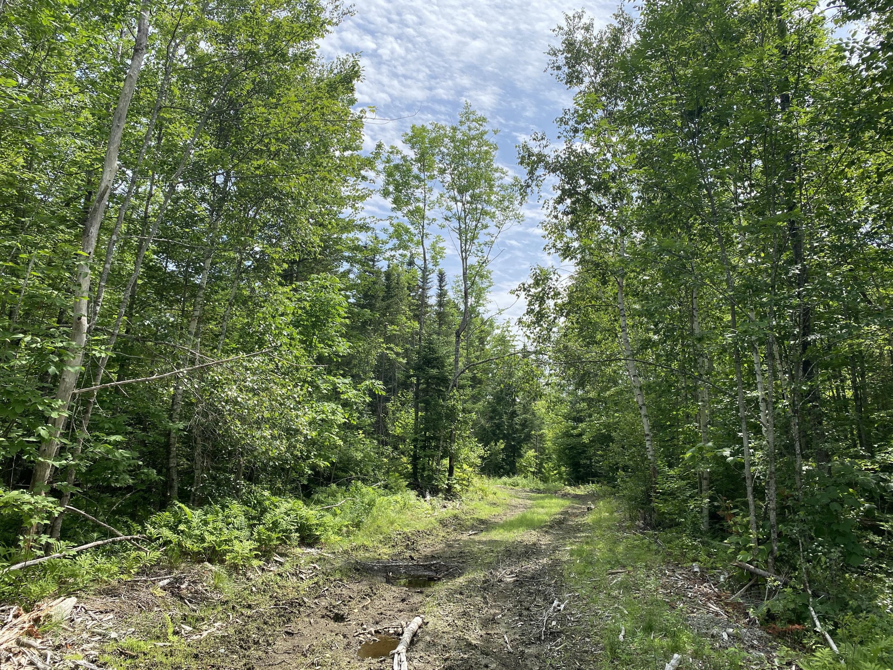 1511 Otis Road Ellsworth, ME 04605 - Photo 3 of 15 IMG_3900
