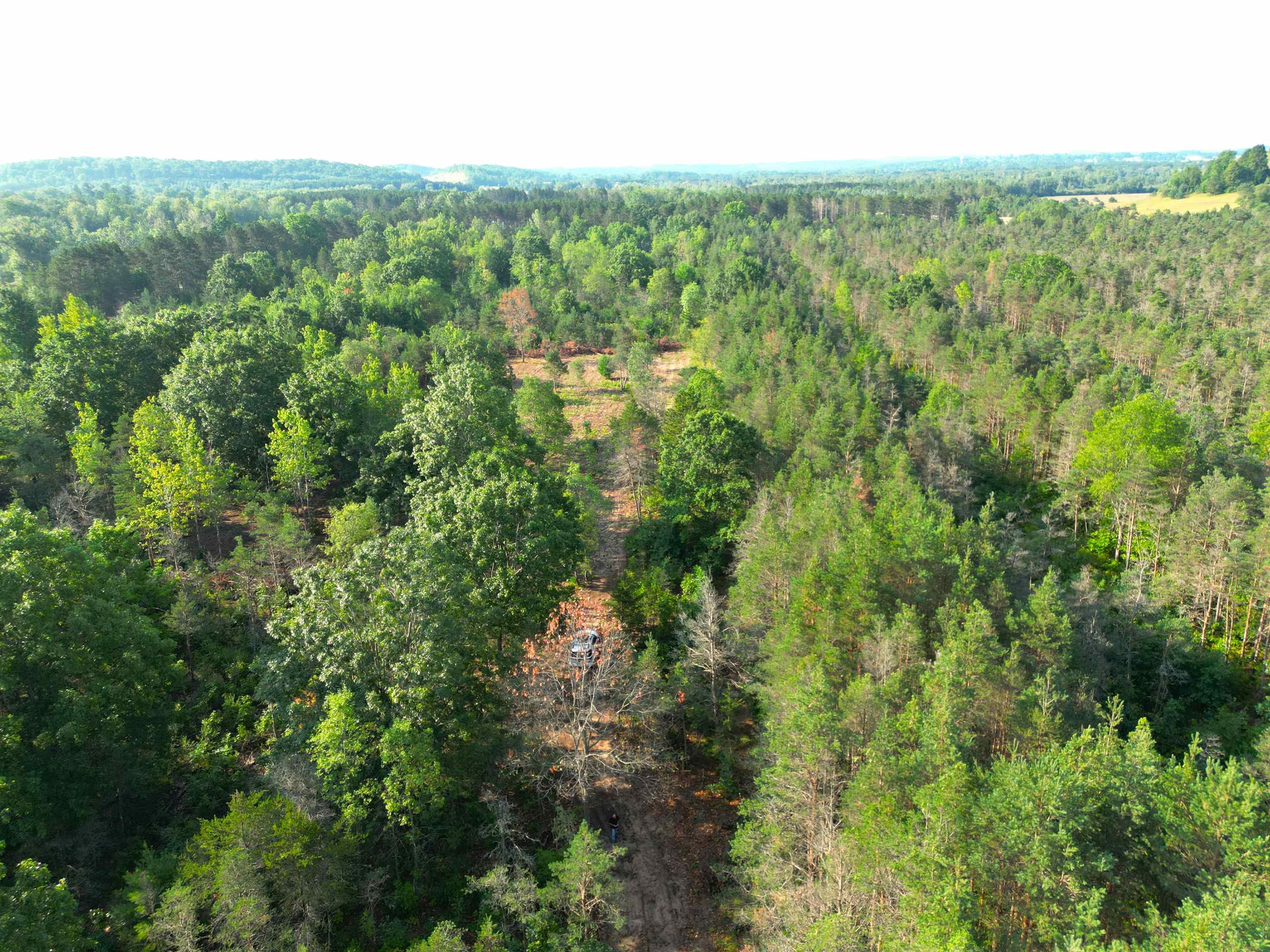 0 East 12 Road Manton, MI 49663 - Photo 1 of 7