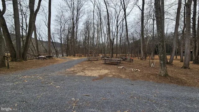 a view of patio with trees