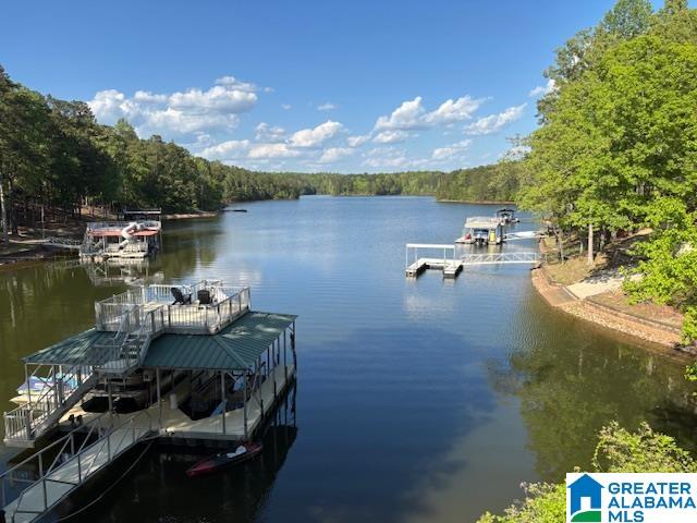 205 Dollys Manor Road Lineville, AL 36266 - Photo 26 of 27