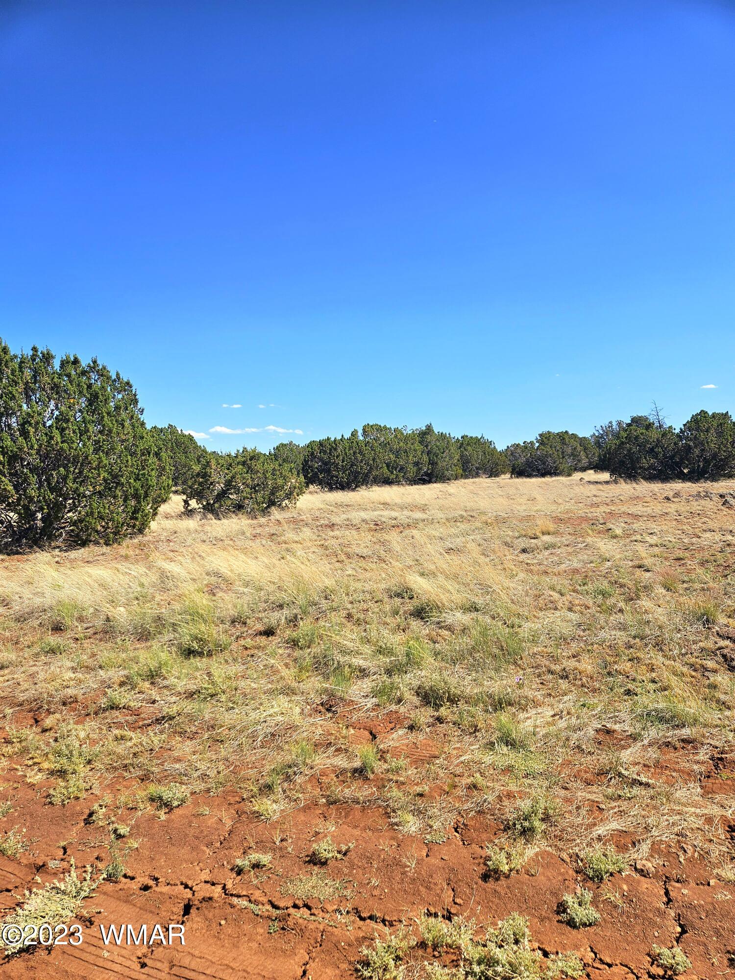 20 County Road Concho, AZ 85924 - Photo 8 of 11