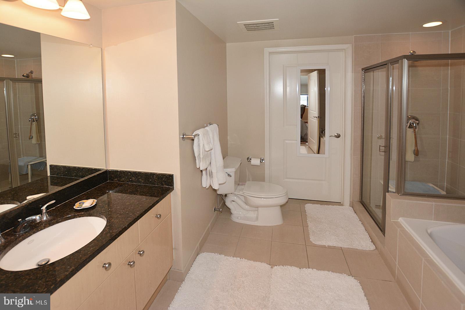 11990 Market Street, Unit 1614 Reston, VA 20190 - Photo 19 of 38 MASTER BATH WITH TUB AND SHOWER
