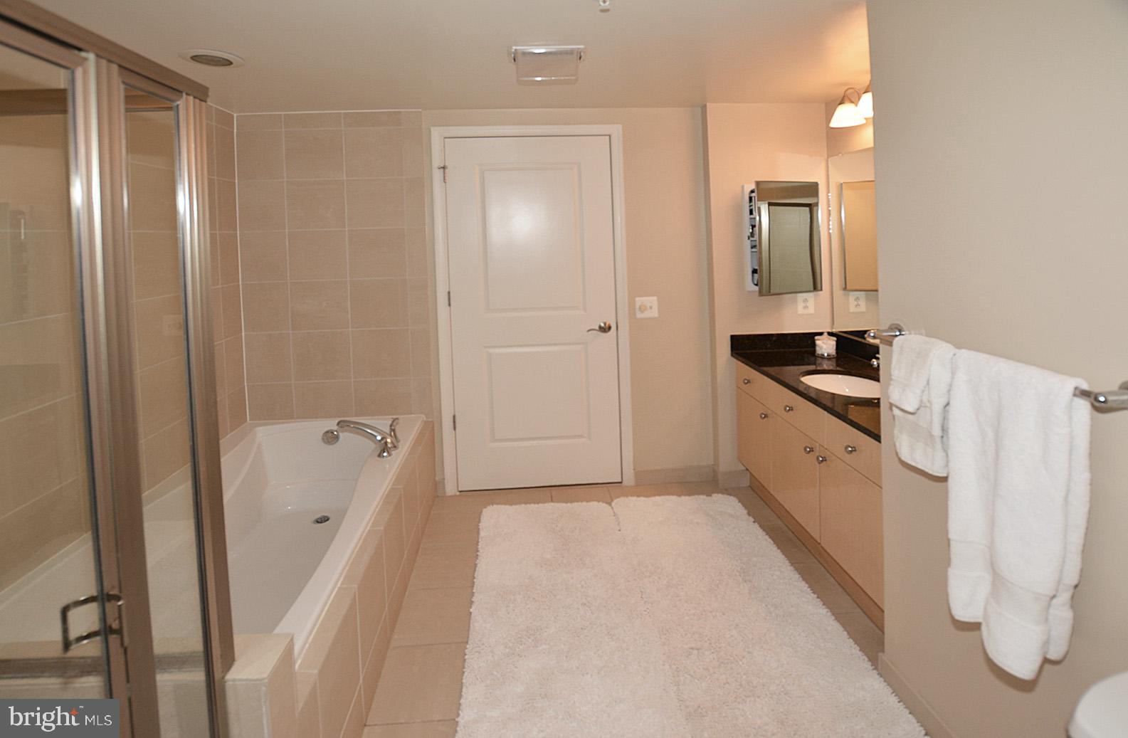 11990 Market Street, Unit 1614 Reston, VA 20190 - Photo 20 of 38 MASTER BATH