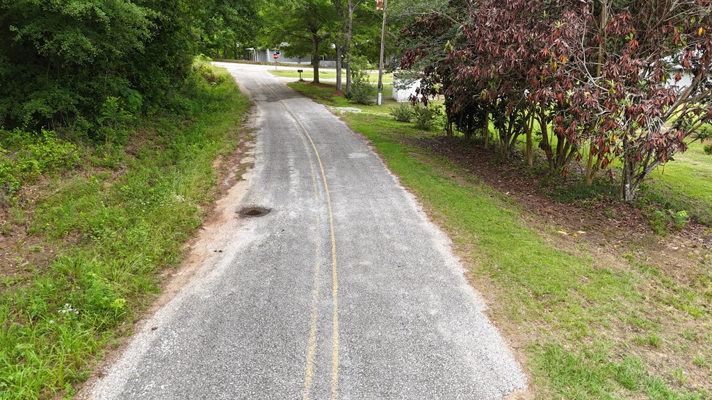 0 Hudspeth Drive Abbeville, AL 36310 - Photo 12 of 15