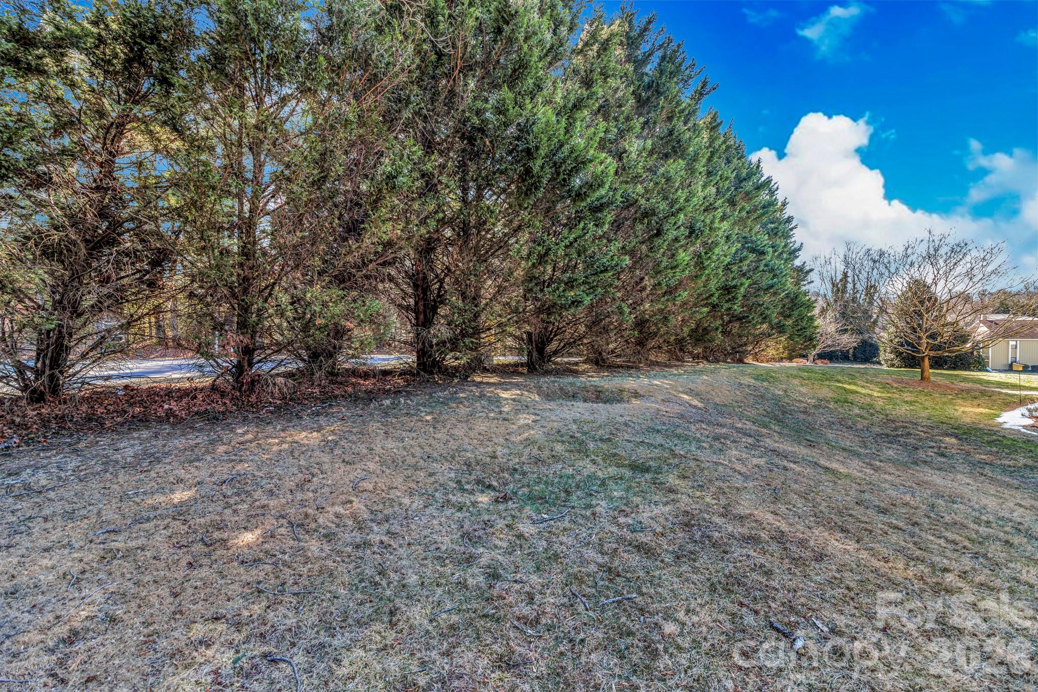 110 Heywood Road, Unit 12B Arden, NC 28704 - Photo 8 of 43