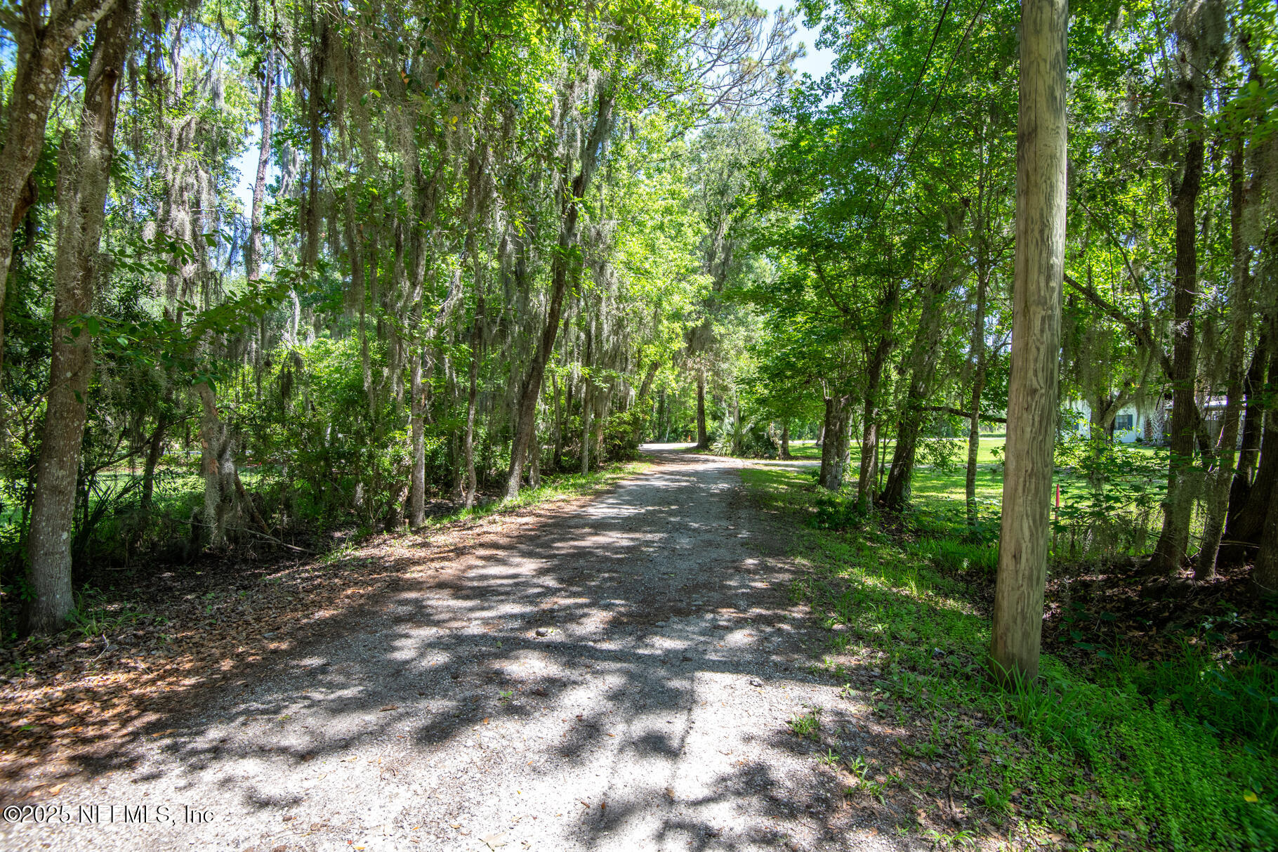 8209 Colee Cove Branch Road St. Augustine, FL 32092 - Photo 6 of 19 8209 Colee Cove Branch Road