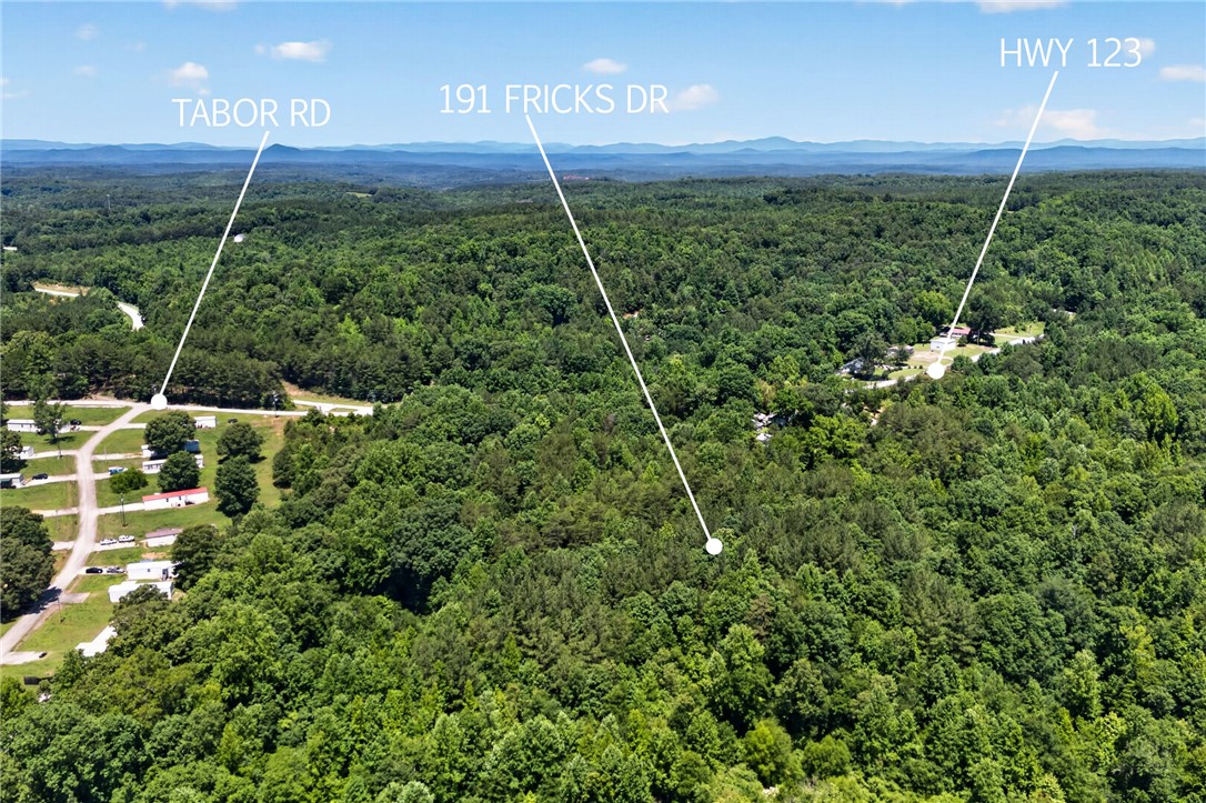 191 Fricks Drive Westminster, SC 29693 - Photo 11 of 19