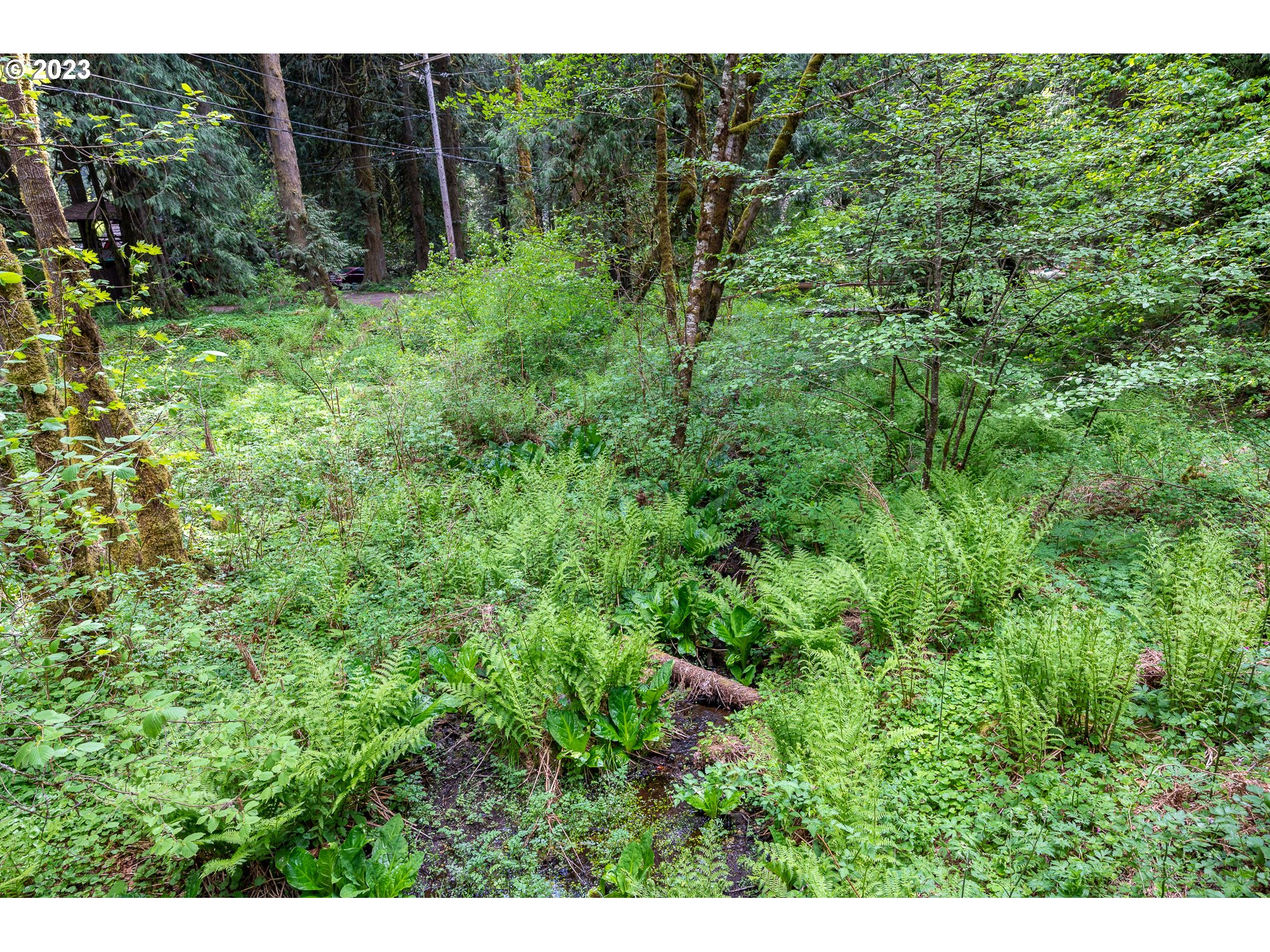 24995 East Old Smokey Road Rhododendron, OR 97049 - Photo 31 of 39 a view of outdoor space and green space