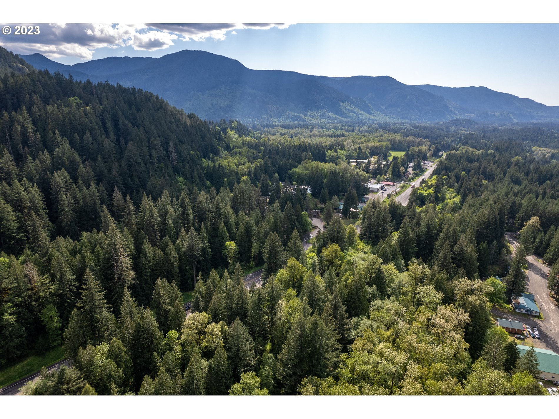 24995 East Old Smokey Road Rhododendron, OR 97049 - Photo 35 of 39 a view of a city with mountain