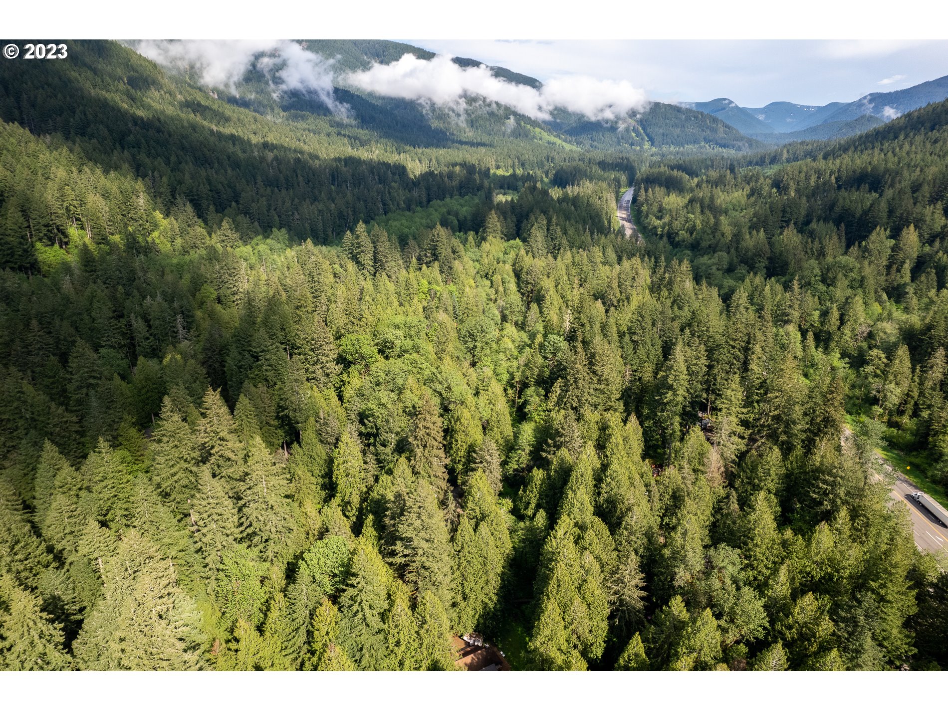 24995 East Old Smokey Road Rhododendron, OR 97049 - Photo 36 of 39 a view of a lush green hillside and a mountain
