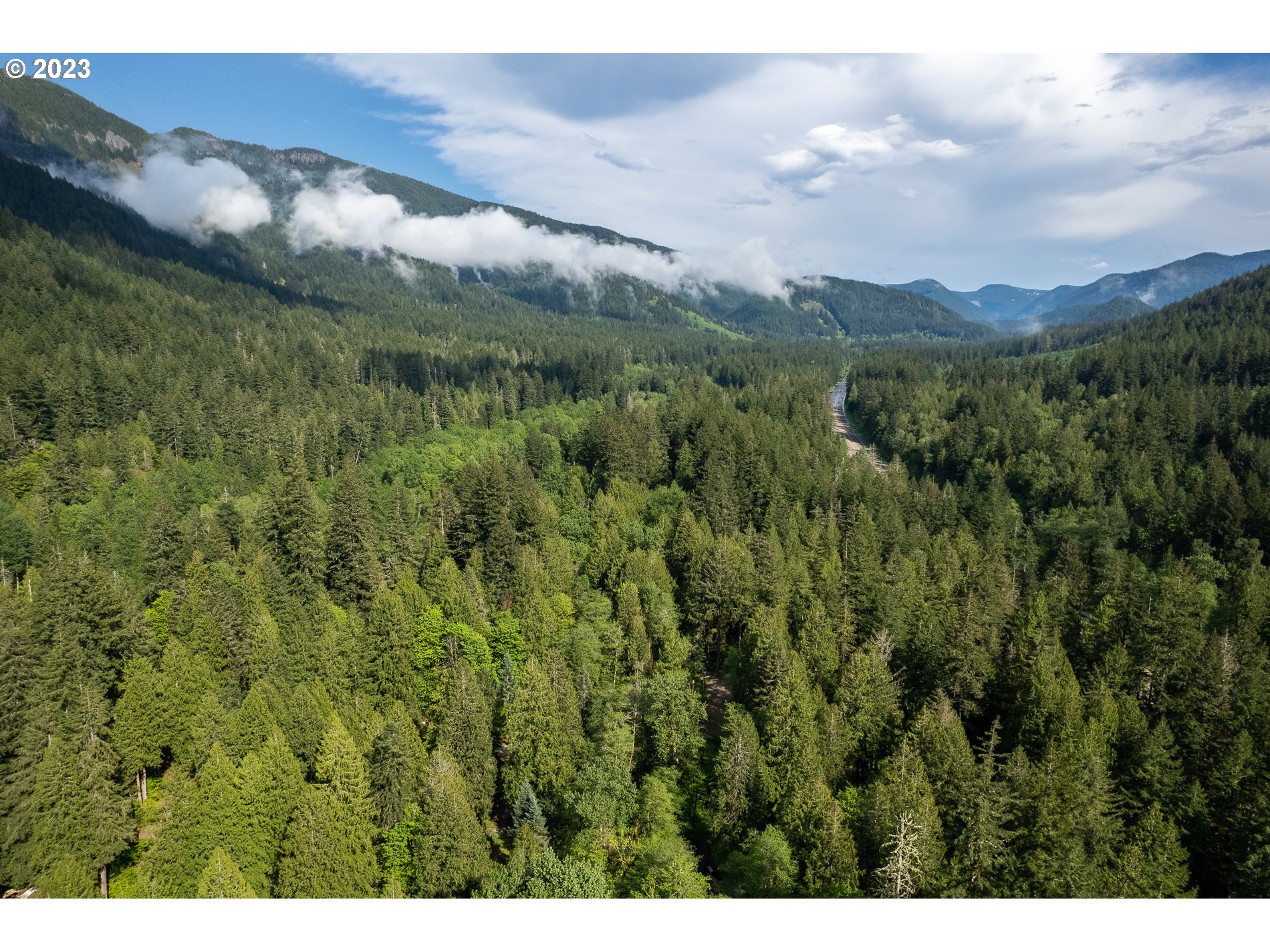 24995 East Old Smokey Road Rhododendron, OR 97049 - Photo 37 of 39 a view of a city with lush green forest