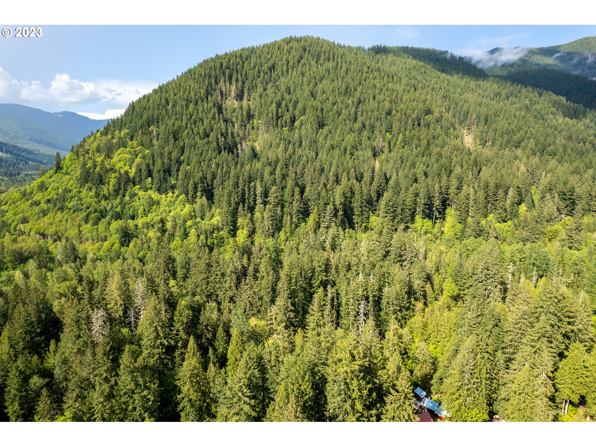 24995 East Old Smokey Road Rhododendron, OR 97049 - Photo 38 of 39 a view of a big yard with plants and large trees