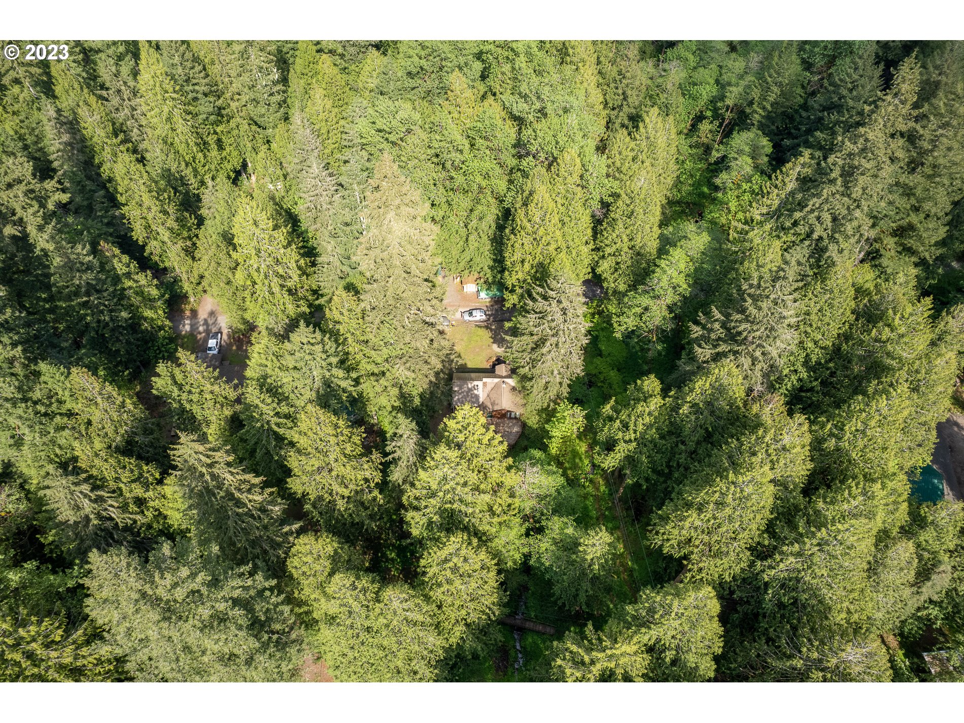 24995 East Old Smokey Road Rhododendron, OR 97049 - Photo 9 of 39 a view of a big yard with lots of bushes